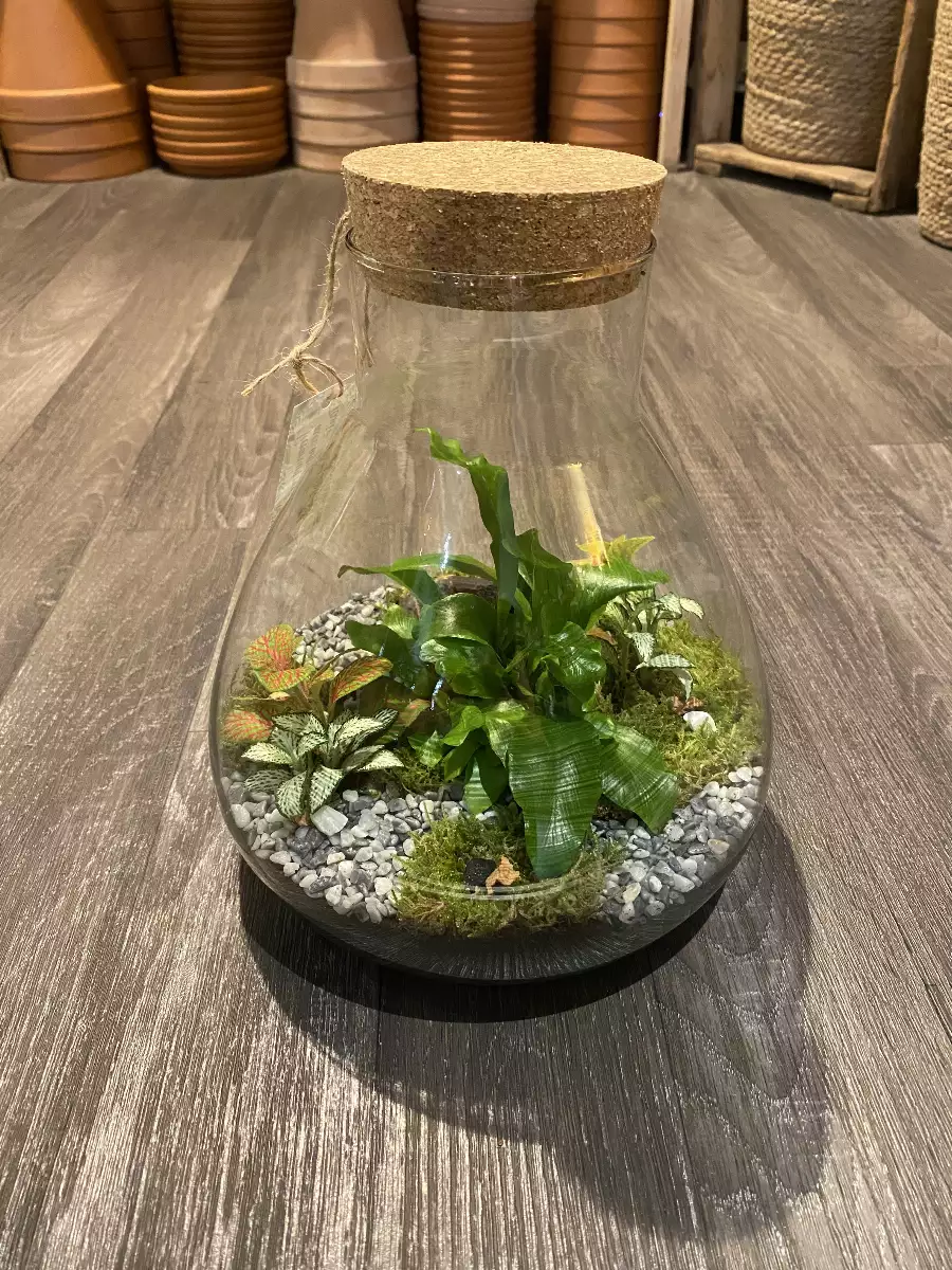 Terrarium Pyramide