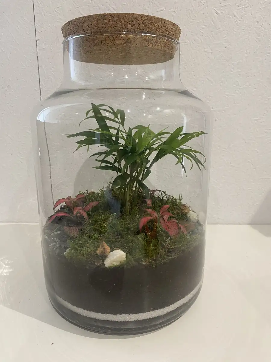 Terrarium Kampala