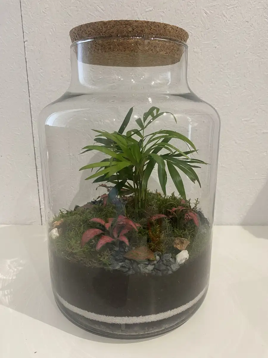 Terrarium Kampala