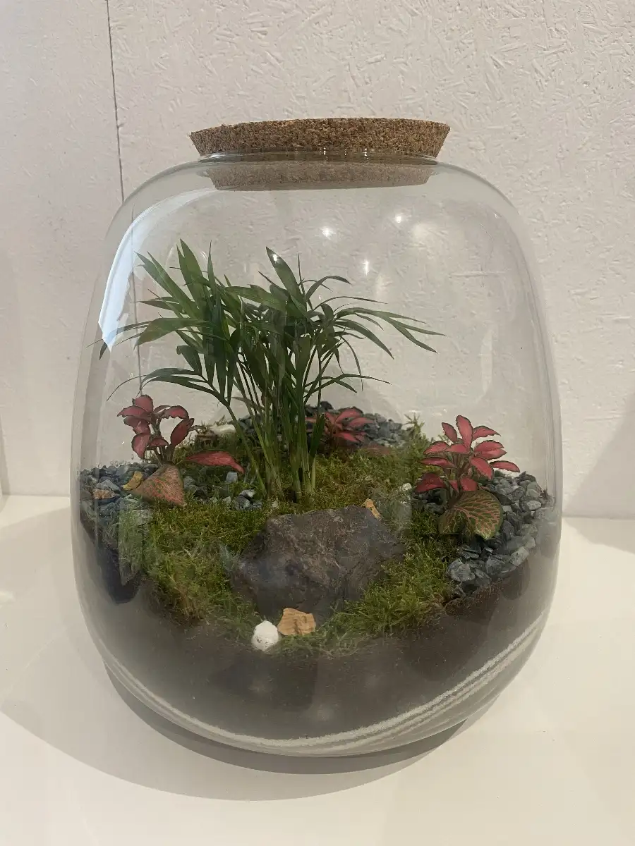 Terrarium Richmond grand